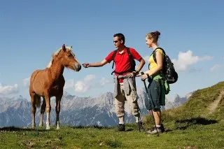 Pension Bergheil