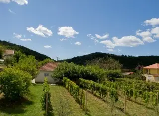 Apartmani Bianka