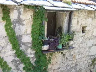 Hotel Riva