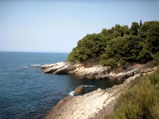 Villa Primafila Dobre Opinie !!