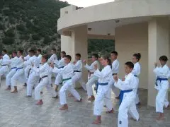 Hotel Dana 