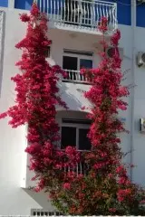 Hotel Vila Fontana
