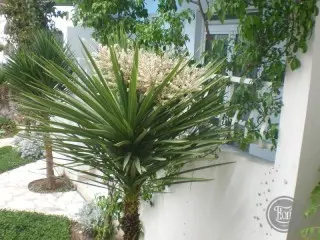 Hotel Vila Fontana