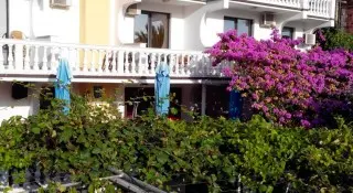 Hotel Mirela