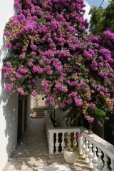 Hotel Mirela