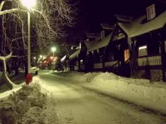 Domki Szwajcarskie