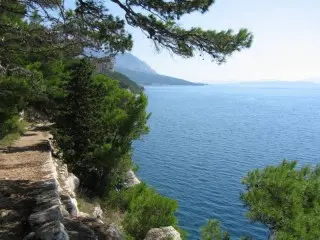 Villa Branko & Anna