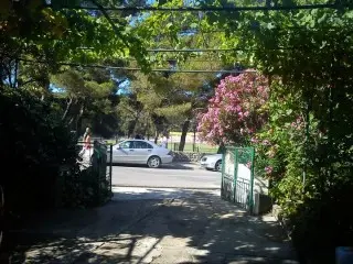 Apartmani Srzić