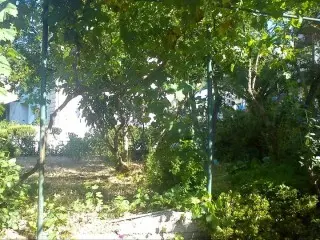 Apartmani Srzić