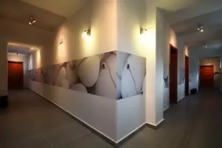 Hotel Domador