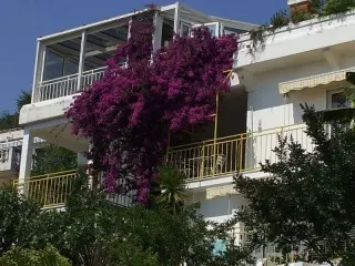 Villa Sun Rose