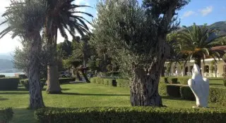 Villa Sun Rose
