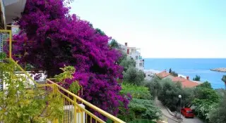 Villa Sun Rose