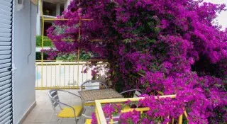 Villa Sun Rose