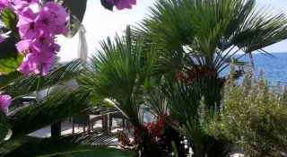 Villa Mare Mar - Nasz Typ !!