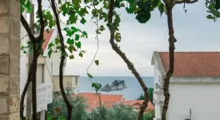 Vila Vukotić