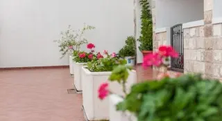 Vila Vukotić