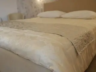 Hotel Orion