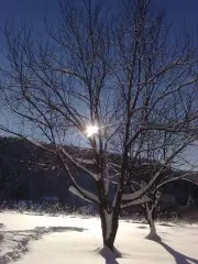 Ski Apartmány Spiežovec 