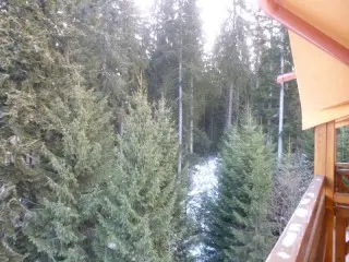 Ski Apartmány Spiežovec 