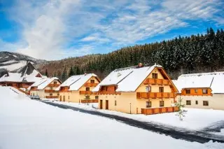 Pinus Apartments