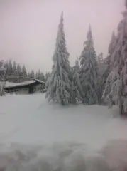 Hotel Martinske Hole