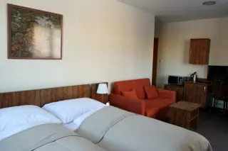 Vila Borievka