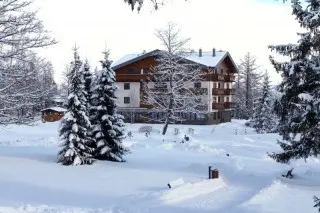 Vila Borievka