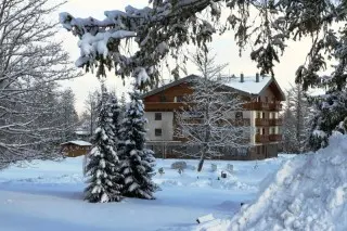 Vila Borievka