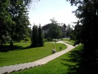 Vila Borievka
