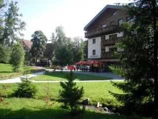 Vila Borievka
