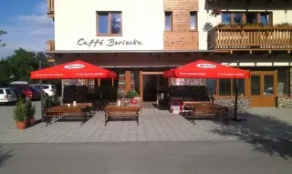 Vila Borievka