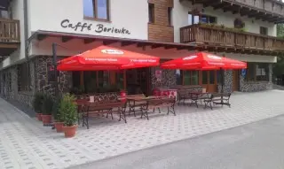 Vila Borievka