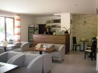Vila Borievka