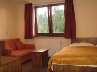 Vila Borievka