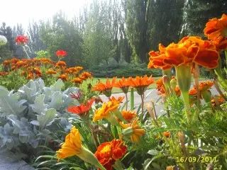 Hotel Balnea Splendid
