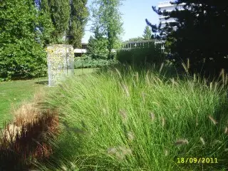 Hotel Balnea Splendid