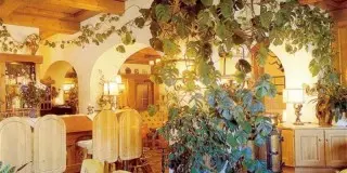 Hotel Haas