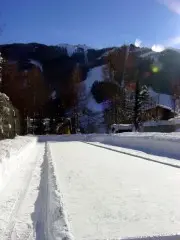 Hotel Saalbacher Hof