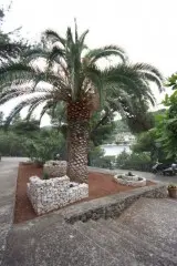 Hotel Sali