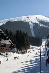 Hotel Junior