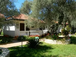Apartmani & Bungalovi President