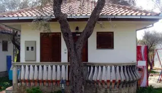 Apartmani & Bungalovi President