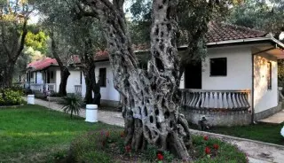 Apartmani & Bungalovi President