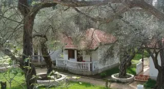 Apartmani & Bungalovi President