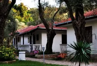 Apartmani & Bungalovi President