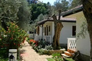 Apartmani & Bungalovi President