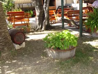 Apartmani Novak