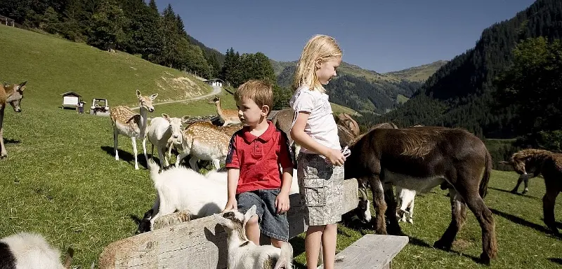 ActivSunny Hotel Sonne