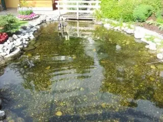 Aktiv Wellnesshotel Kohlerhof 